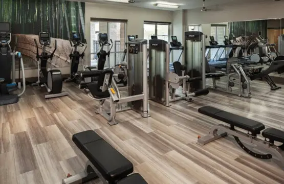 72903 396192 57PcLDmvA0lQko83vIi4vYAQwocmkL9jlnqq2lYRYDE 683717bbd1dcb.jpg